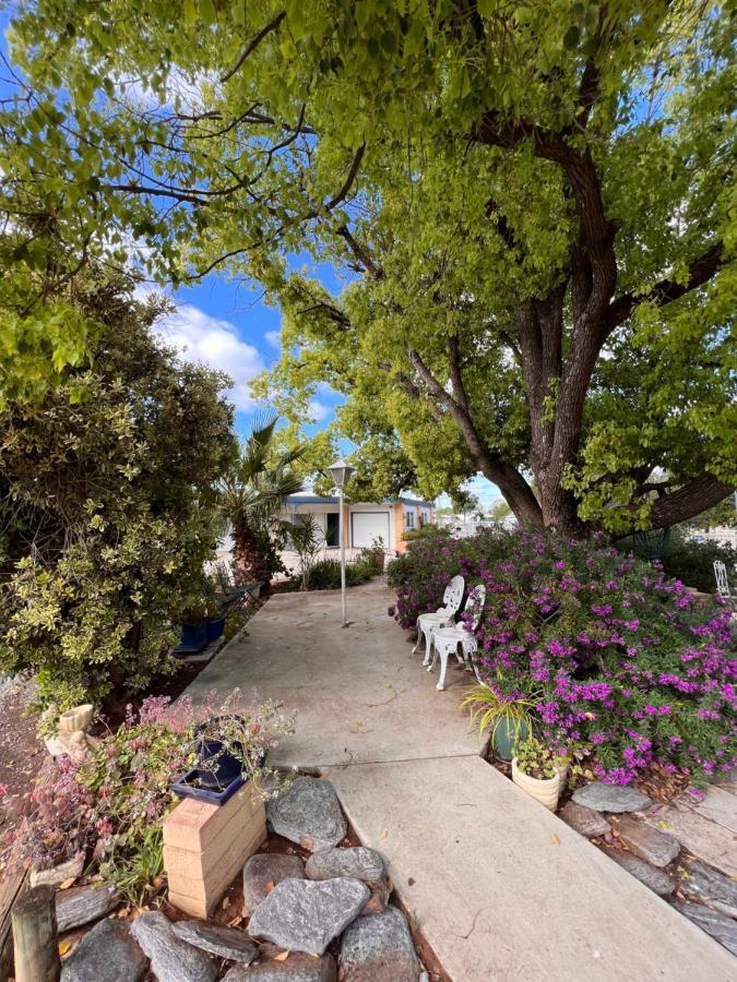 Sturt Motel Balranald Eksteriør bilde