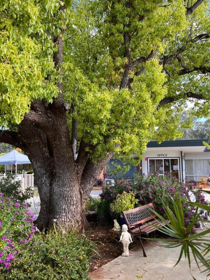 Sturt Motel Balranald Eksteriør bilde